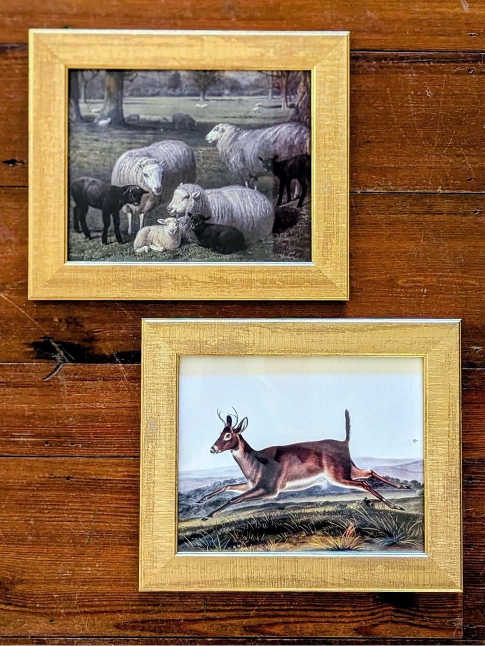 Gold-Framed Southern Animal Prints Deer and Sheep